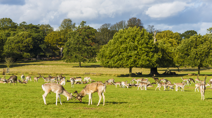 5 Great free picnic spots - Railcard